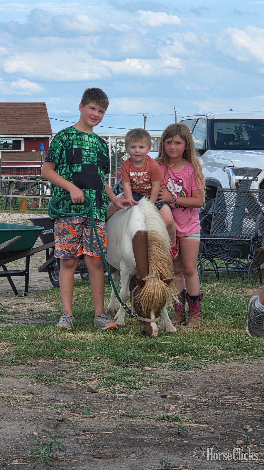 "Spanky" Pinto Gelding Pony