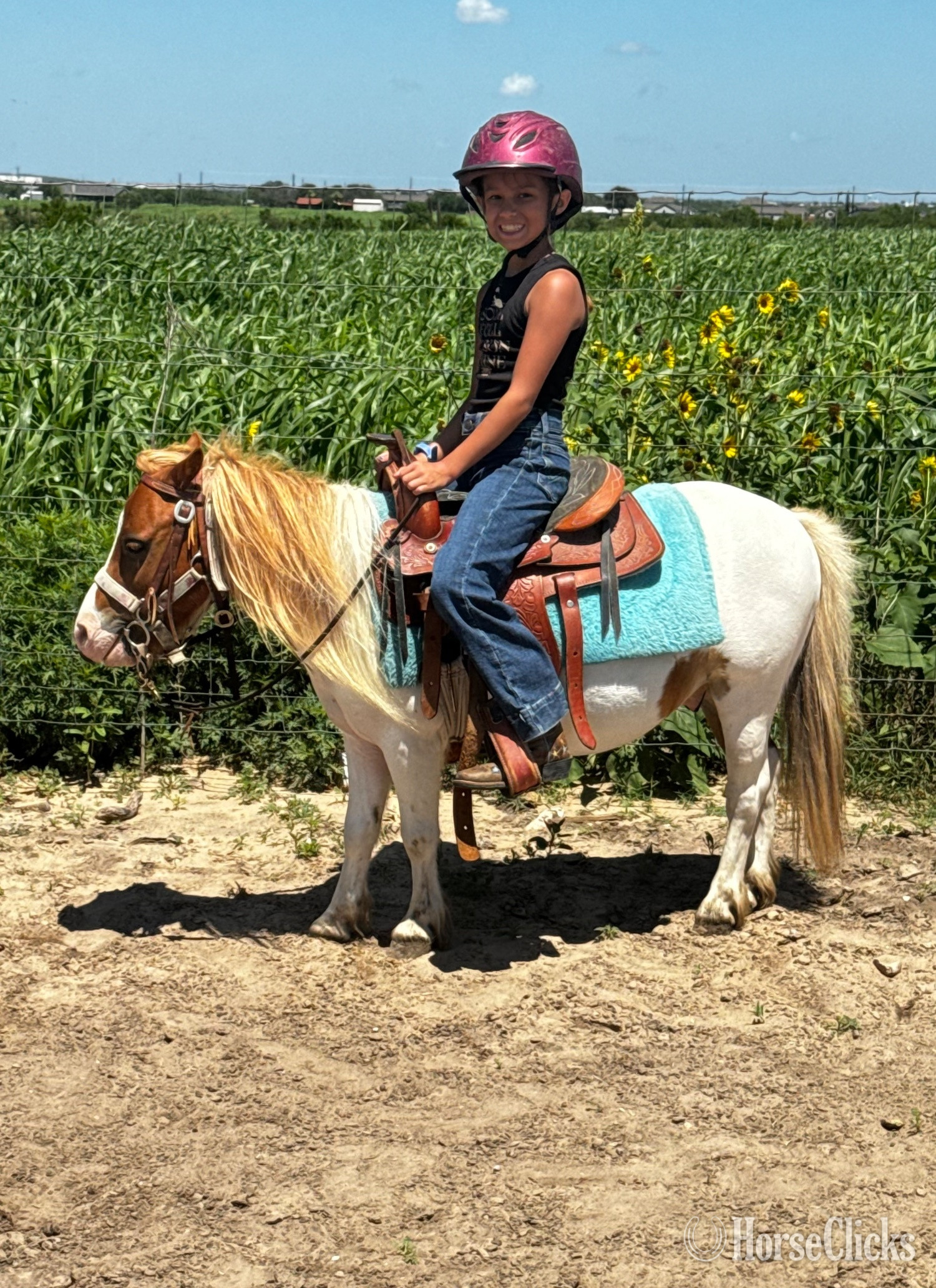 Texas "Spanky" Pinto Gelding Pony
