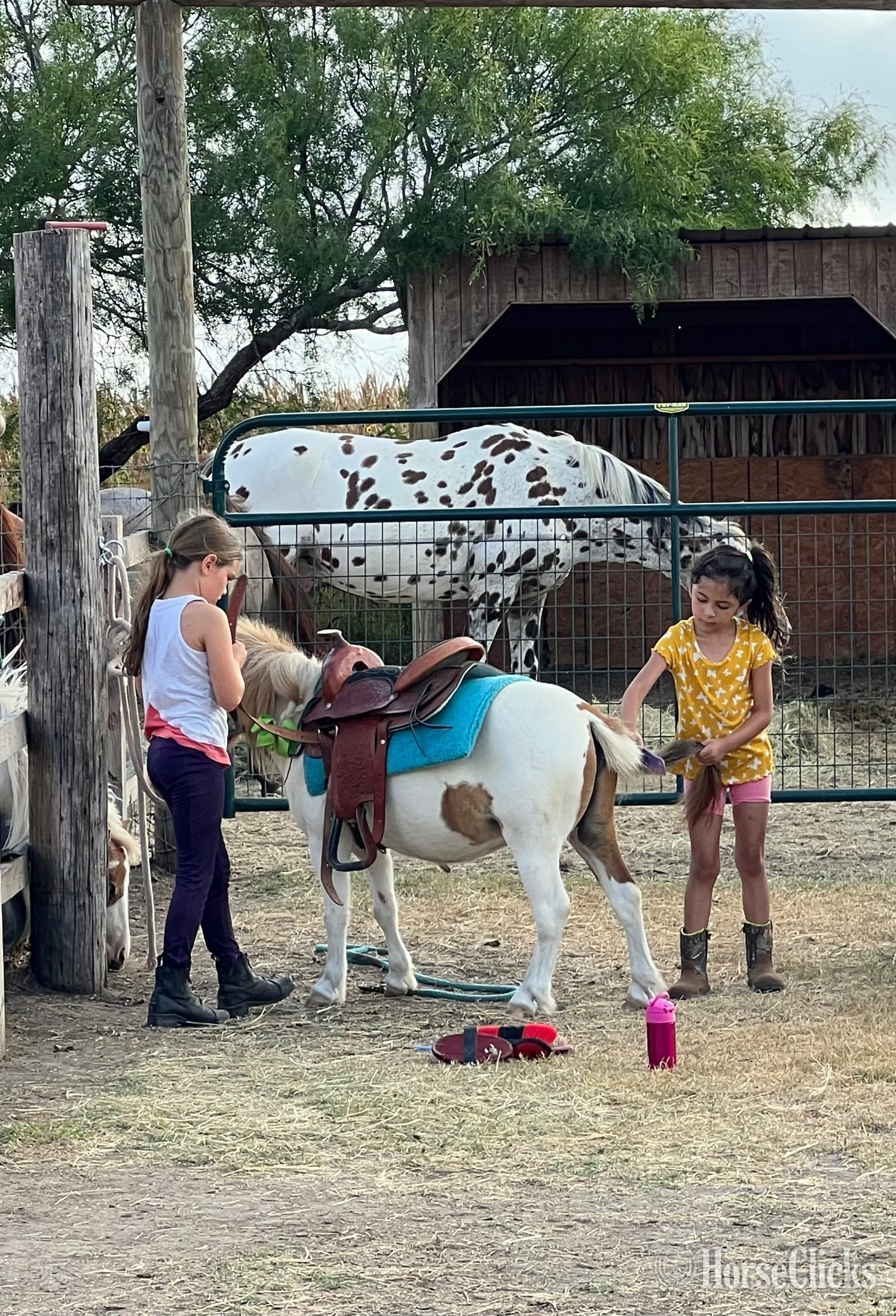 Pony - "Spanky" Pinto Gelding Pony in Texas