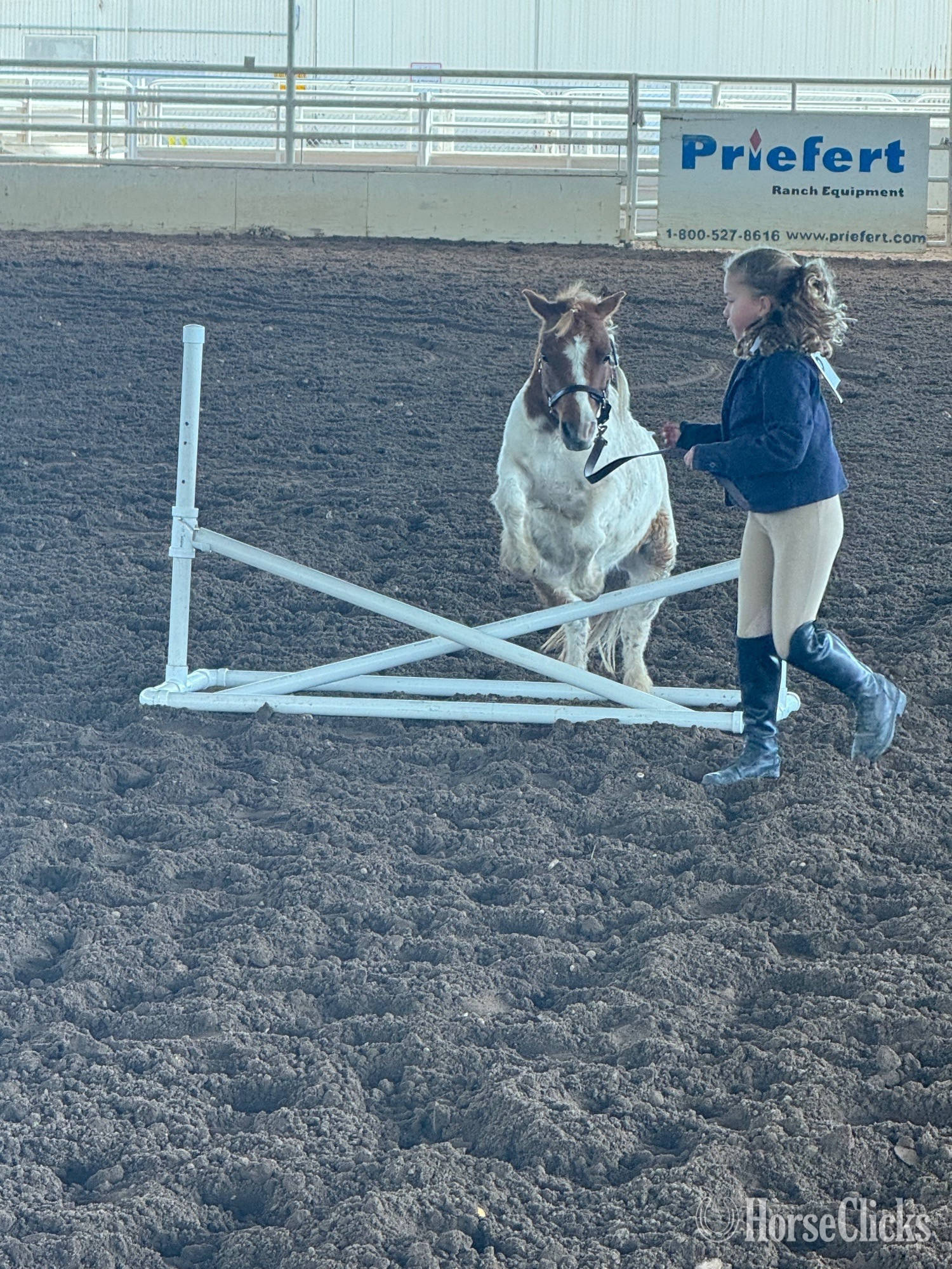 Pony - "Spanky" Pinto Gelding Pony
