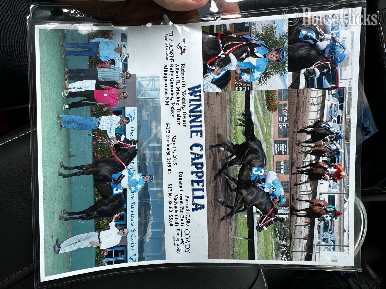 "Winnie Cappella" Bay Mare Thoroughbred in Texas