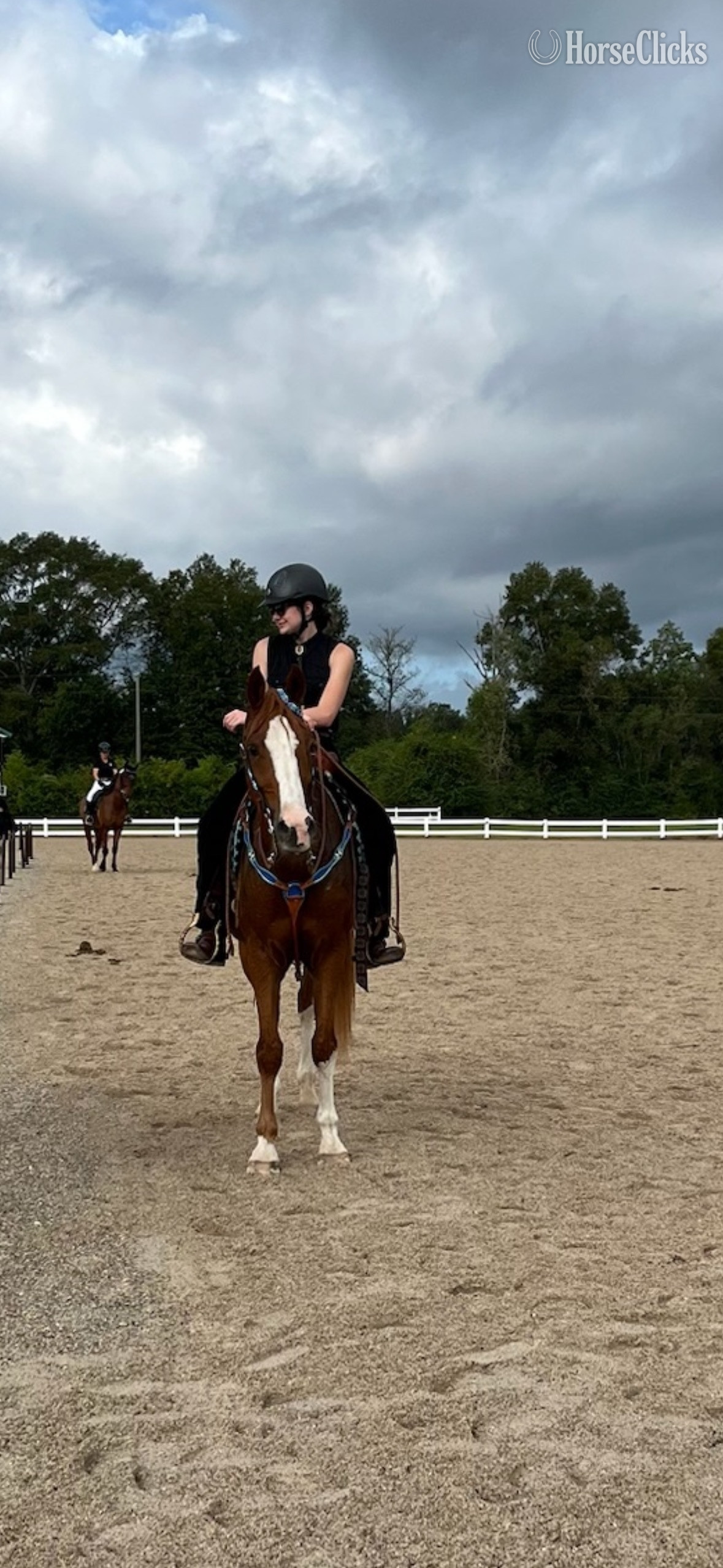 "Avatar Moon Storm" Chestnut Gelding Arabian - Arabian in Louisiana
