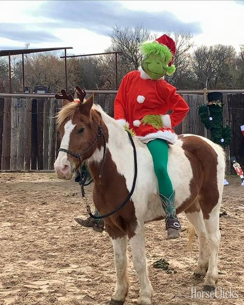 Pony - "Malone" Sorrel Gelding Pony