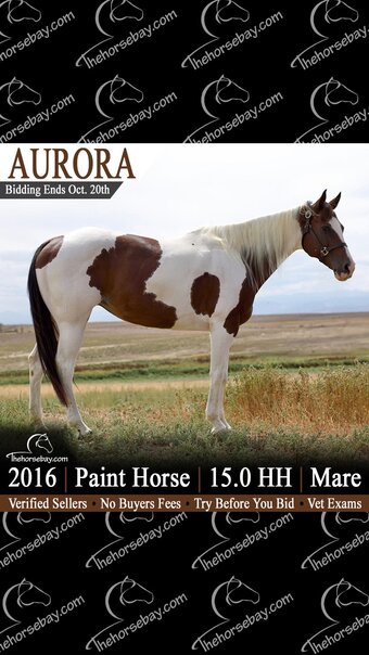 "Aurora" Tabiano Mare Paint