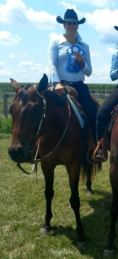 "BMQ Sweettalkinhotty aka Penny" Bay Mare Quarter Horse