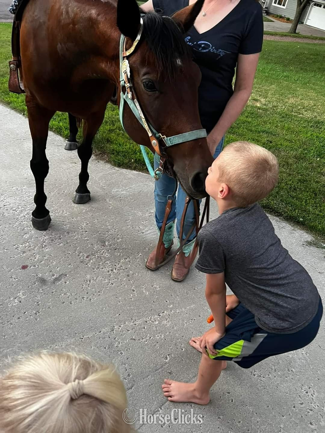 South Dakota "BMQ Sweettalkinhotty aka Penny" Bay Mare Quarter Horse