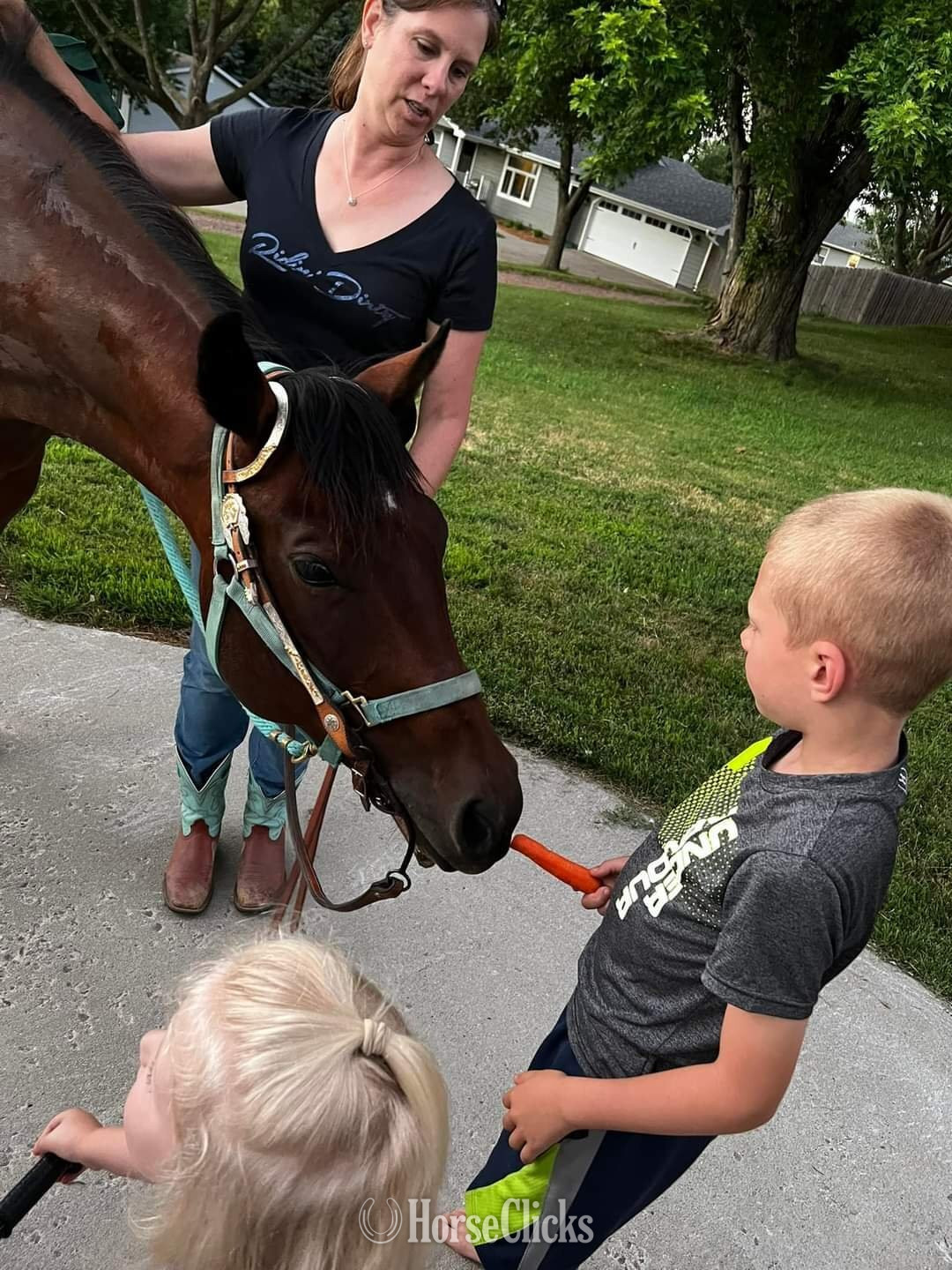 "BMQ Sweettalkinhotty aka Penny" Bay Mare Quarter Horse - Quarter Horse in South Dakota