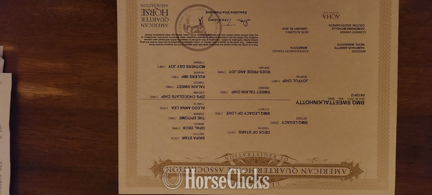 Quarter Horse - "BMQ Sweettalkinhotty aka Penny" Bay Mare Quarter Horse