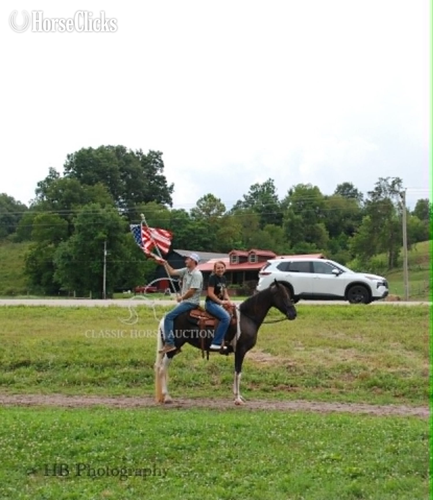"SUGA PLUM" Tabiano Mare Kentucky Mountain - Kentucky Mountain