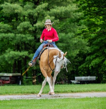 "CERTAINLY A COOL GUN" Palomino Gelding Paint
