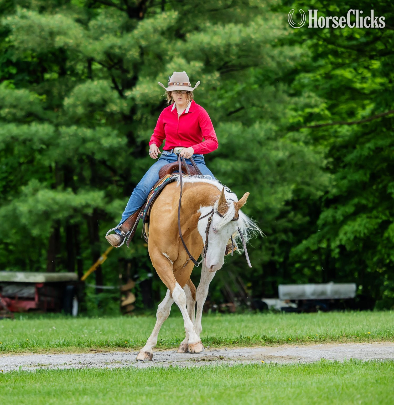 "CERTAINLY A COOL GUN" Palomino Gelding Paint in Indiana