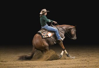 "OBIS TAKEN THE SILVER" Sorrel Gelding Paint
