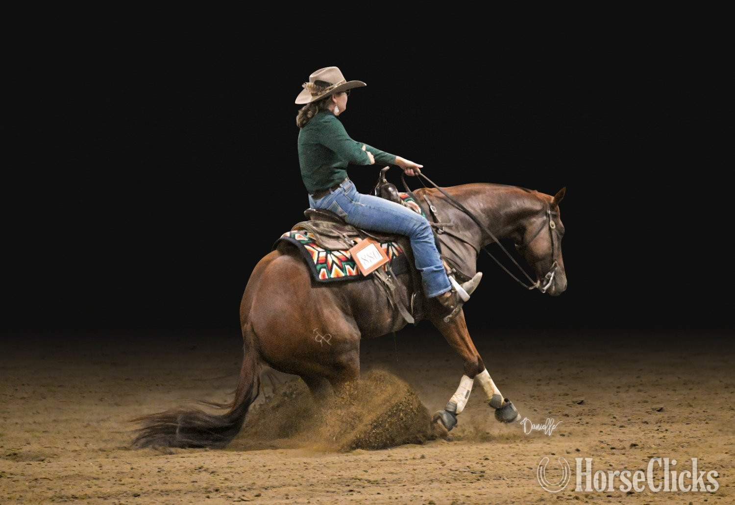 "OBIS TAKEN THE SILVER" Sorrel Gelding Paint in Indiana