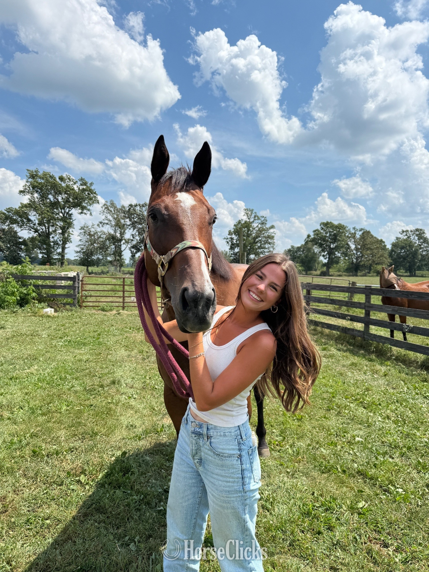 "Anny " Brown Mare Thoroughbred - Thoroughbred