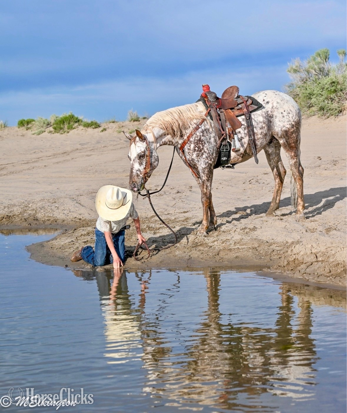 Idaho "Dip N Dots "  Gelding Appaloosa