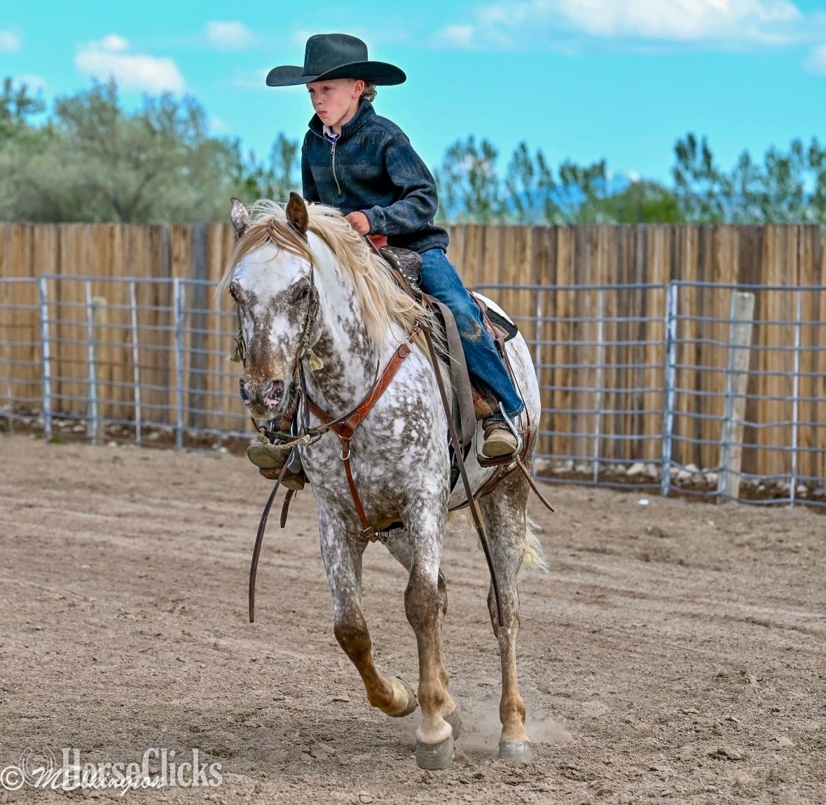 Appaloosa - "Dip N Dots "  Gelding Appaloosa in Idaho