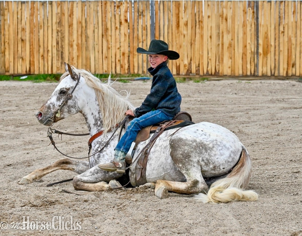 Appaloosa - "Dip N Dots "  Gelding Appaloosa