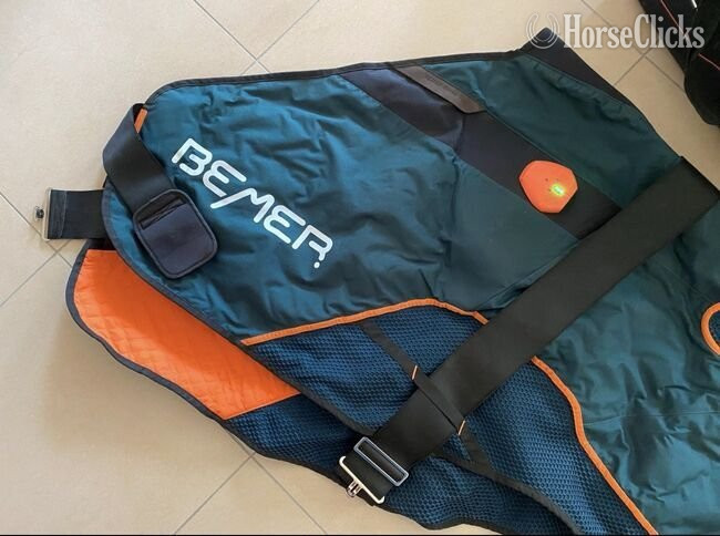 Bemer horse set for sale - Ranch in California