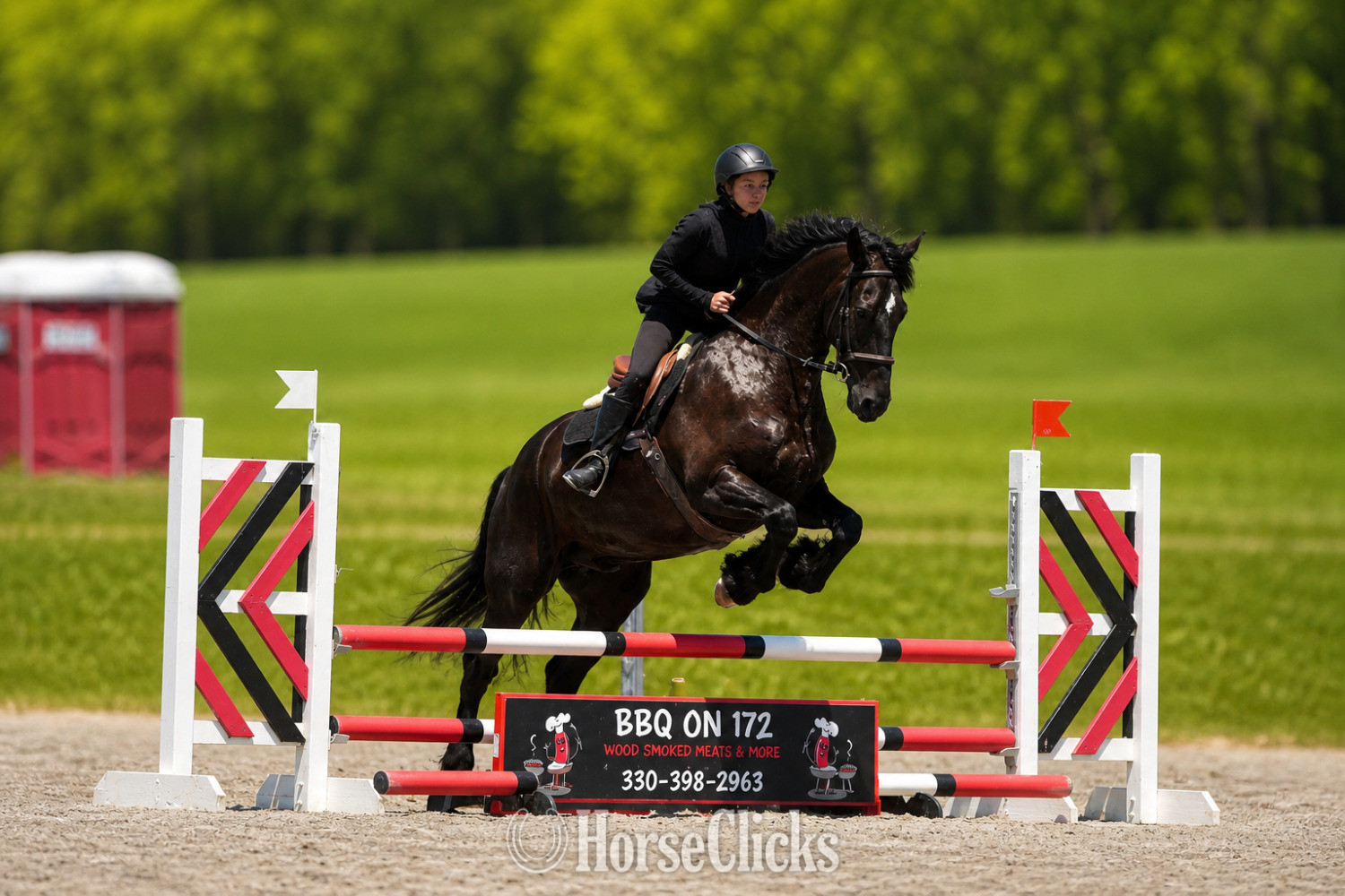 Friesian - "Durango" Black Gelding Friesian