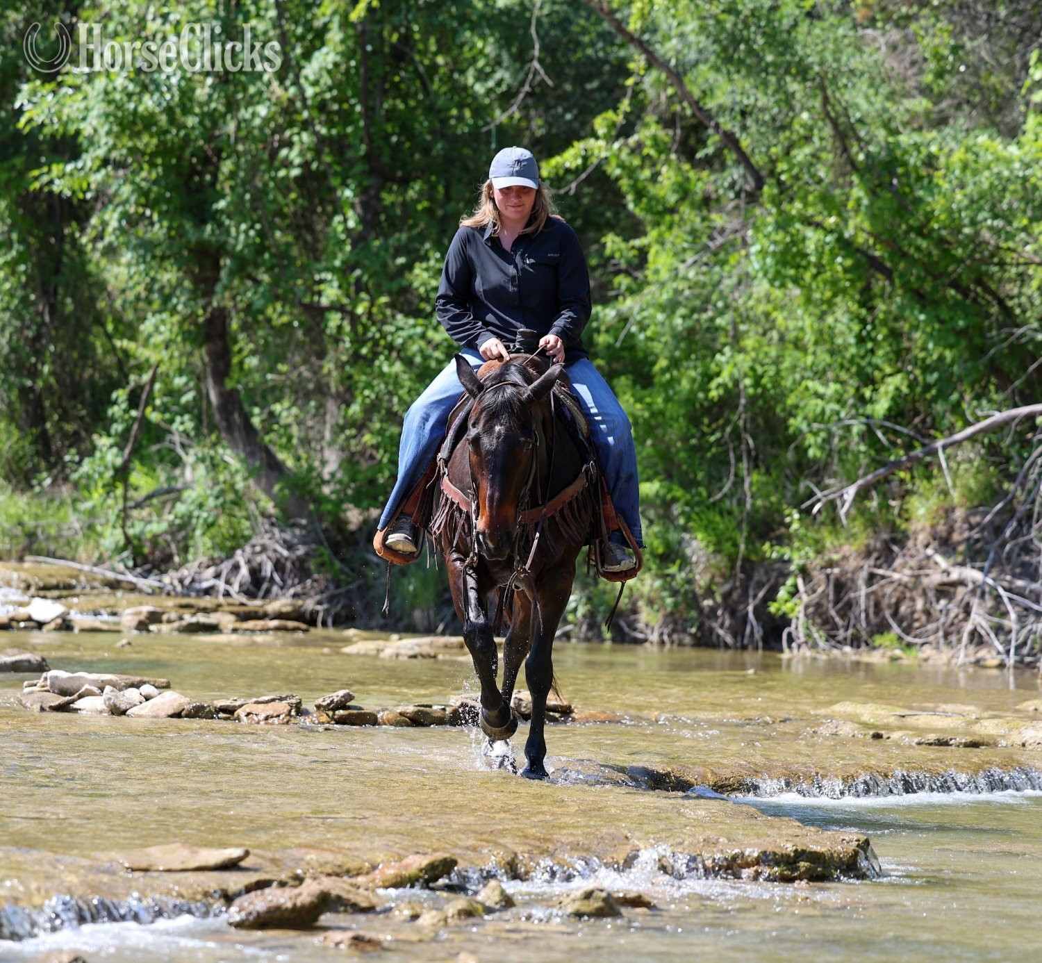 Quarter Horse - "WALLY" Brown Gelding Quarter Horse in Texas