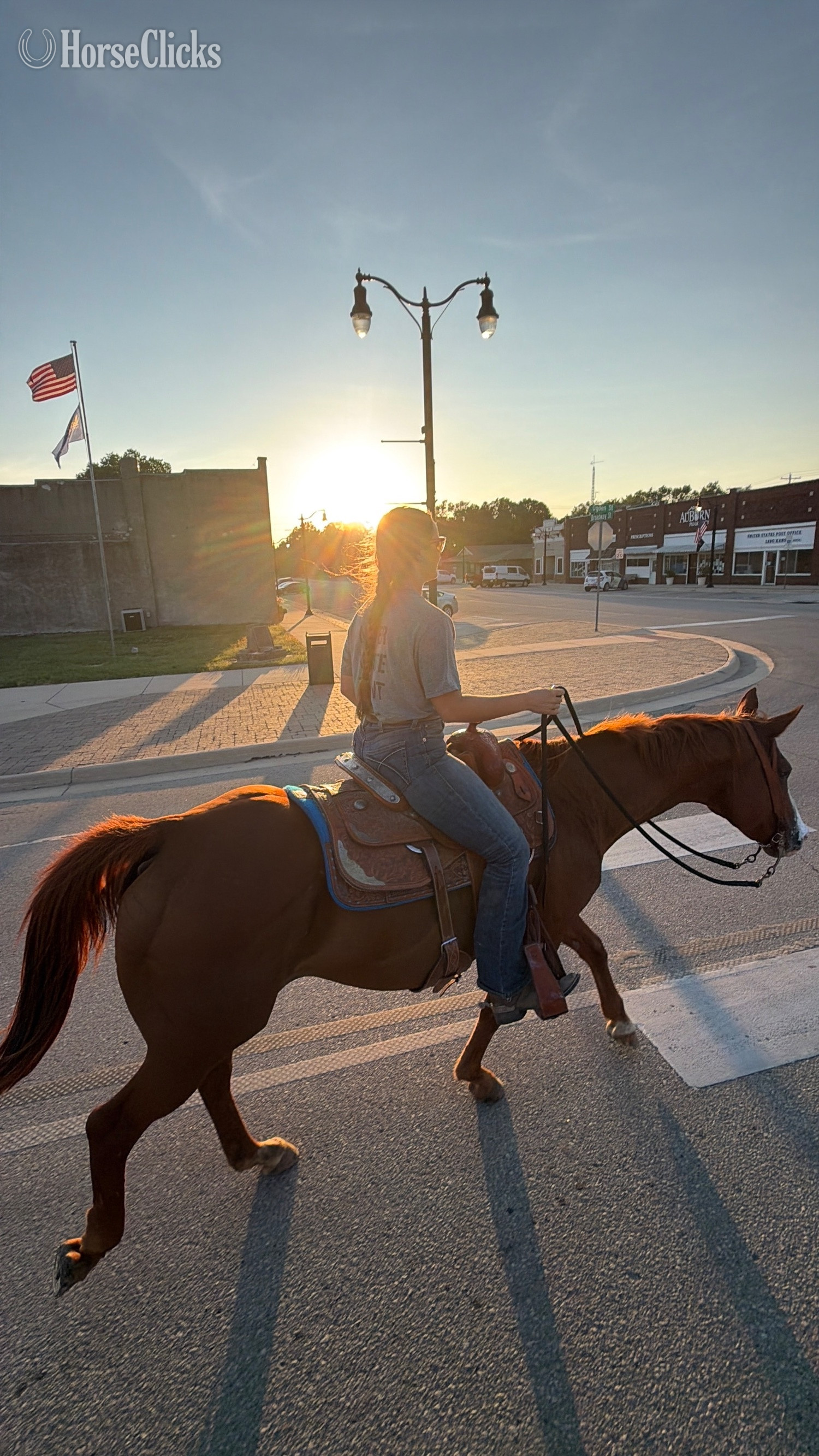 "Ruby" Sorrel Mare Quarter Horse in Kansas