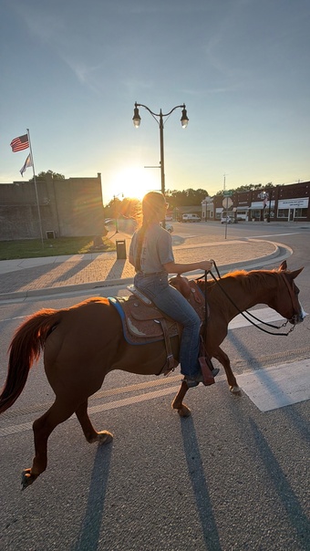 "Ruby" Sorrel Mare Quarter Horse