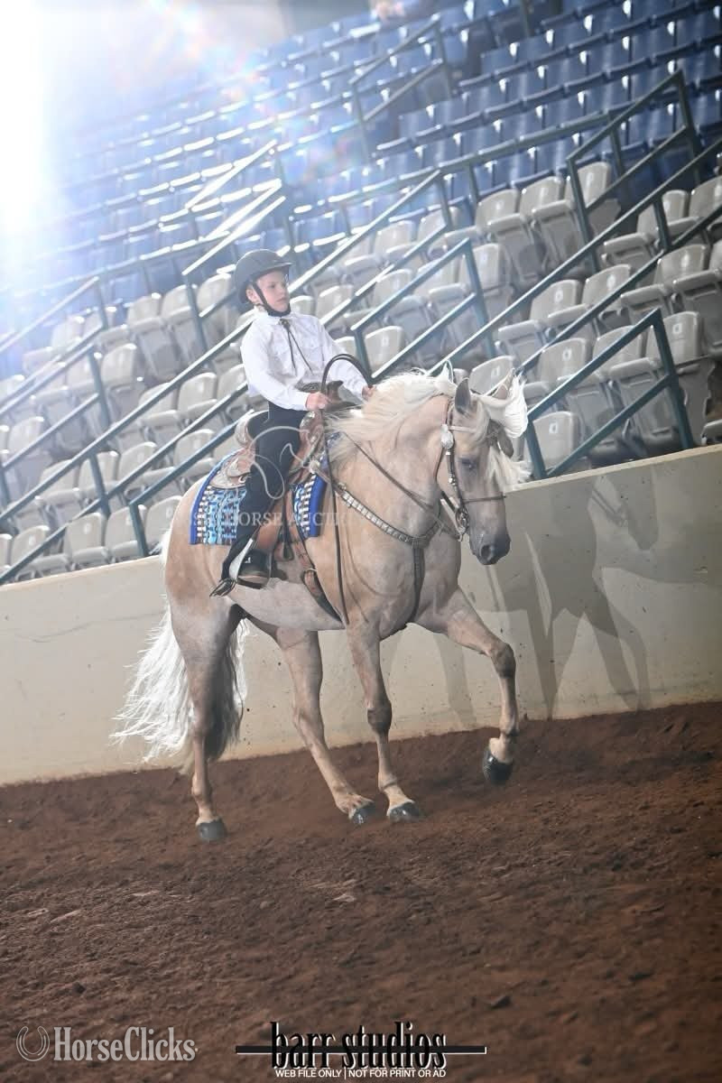 Tennessee Walker - "BAILEY" Palomino Mare Tennessee Walker in Tennessee
