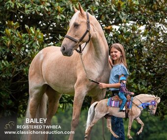 "BAILEY" Palomino Mare Tennessee Walker