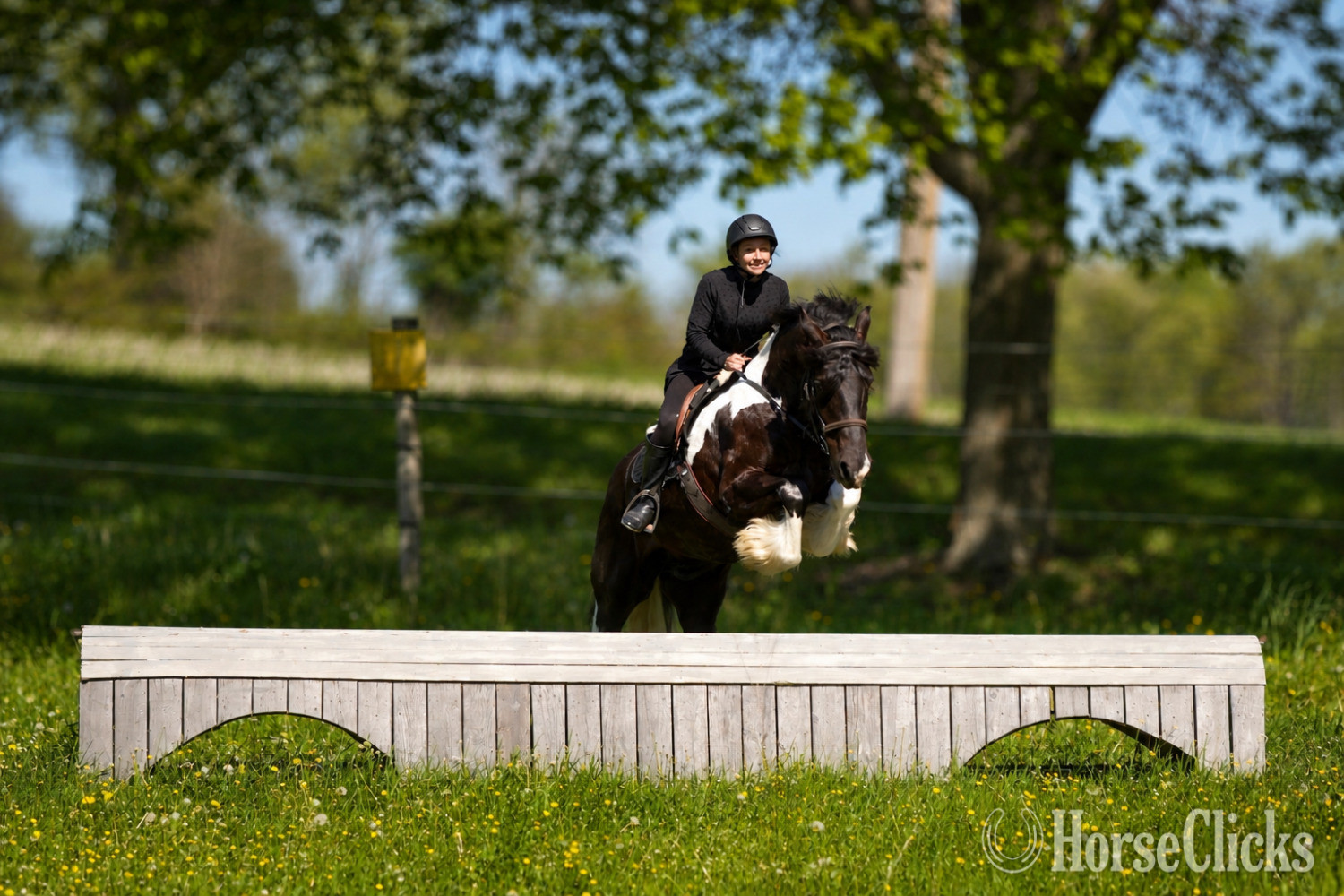 Gypsy Vanner - "King Charles" Pinto Gelding Gypsy Vanner in Ohio