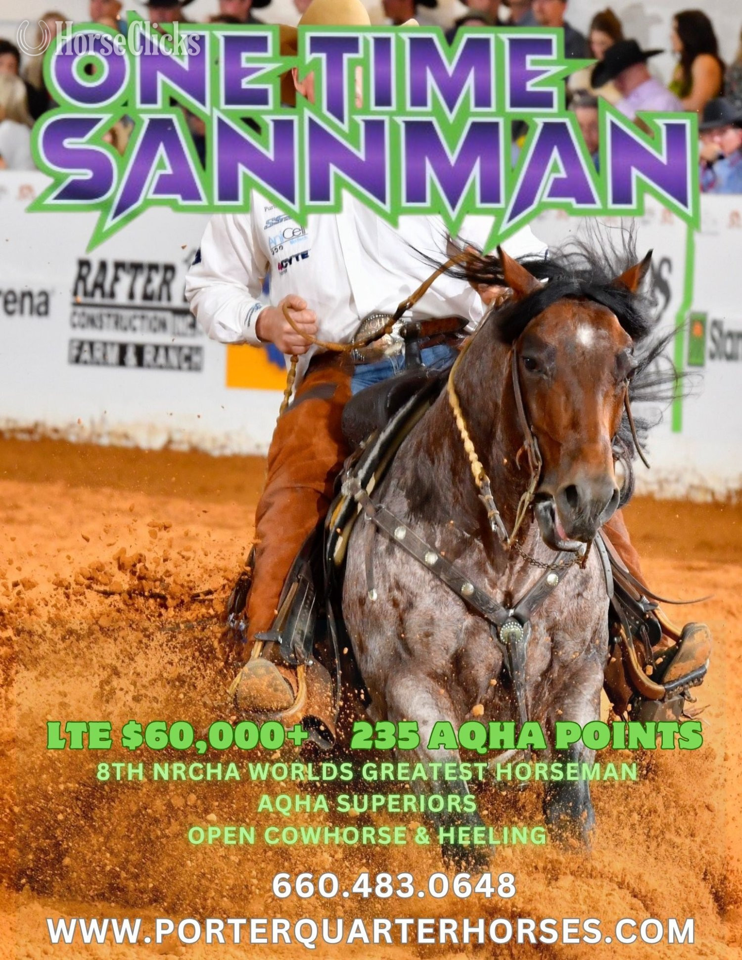 Bay Roan 14.2hh Quarter Horse Stallion in Missouri