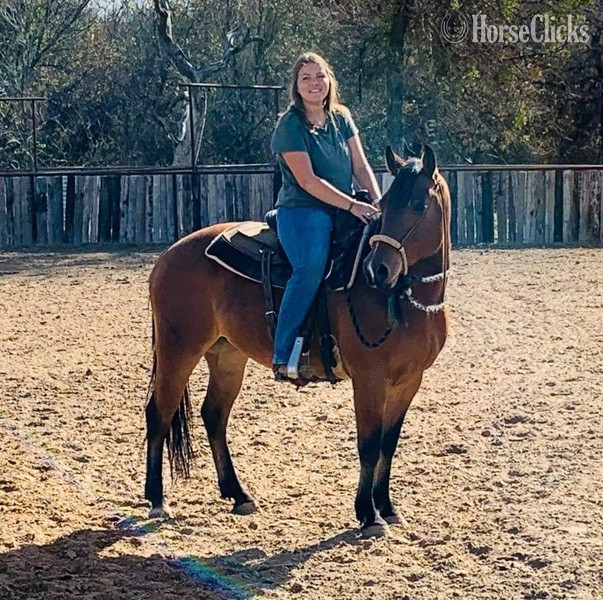 Texas "Wyatt" Bay Gelding Quarter Horse