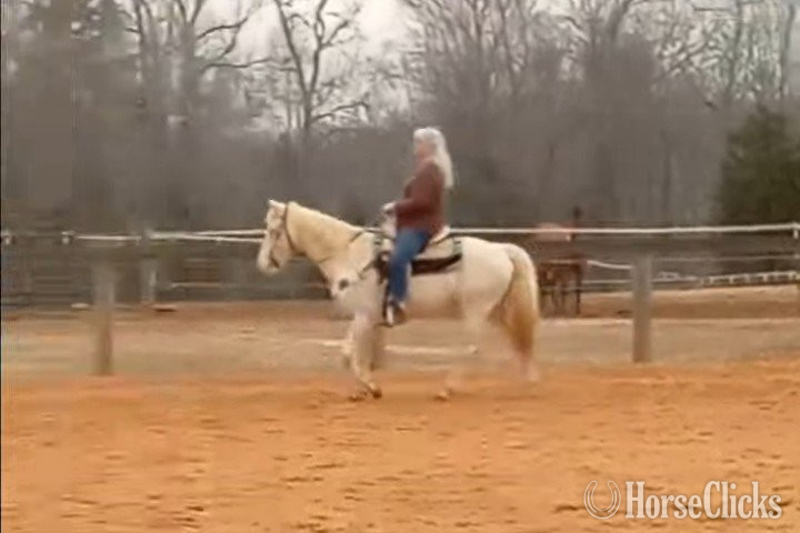 "Winter Skye" Cremello Mare Azteca - Azteca