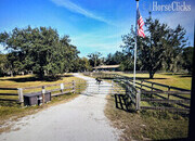 Horse Owner's Dream Rental