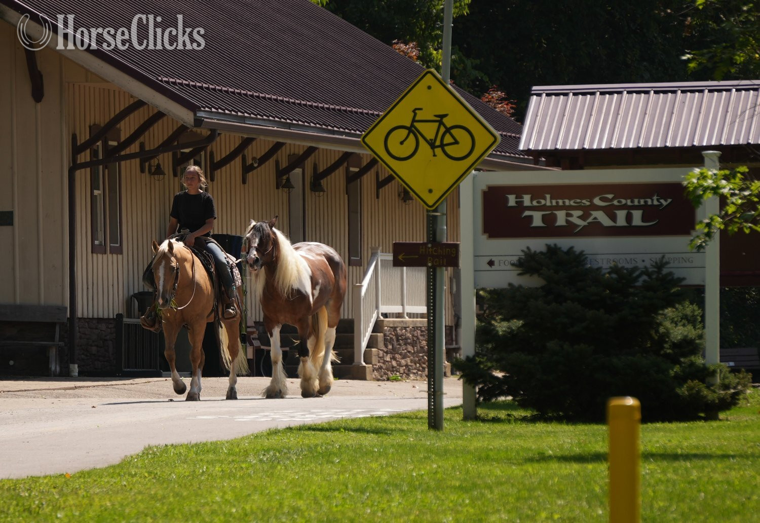 Ohio "Gold Rush" Palomino Gelding Quarter Horse