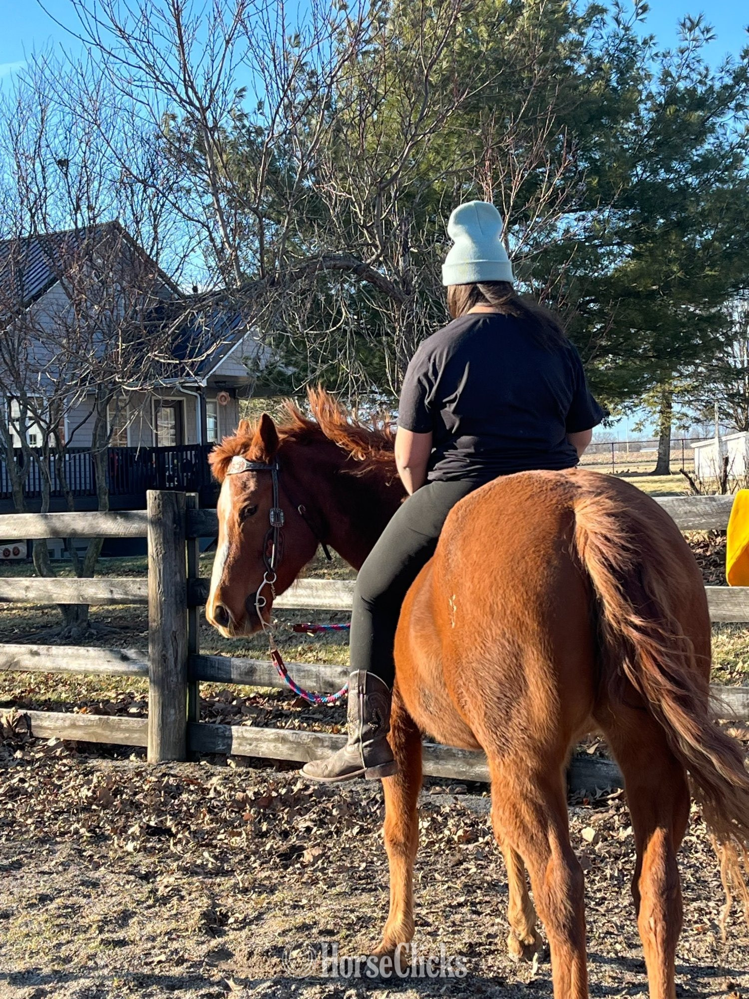 "Lenas Dawn Quixote" Sorrel Mare Quarter Horse