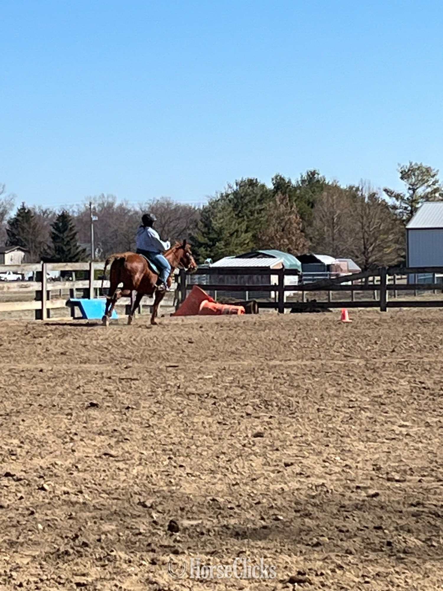 Ohio "Lenas Dawn Quixote" Sorrel Mare Quarter Horse