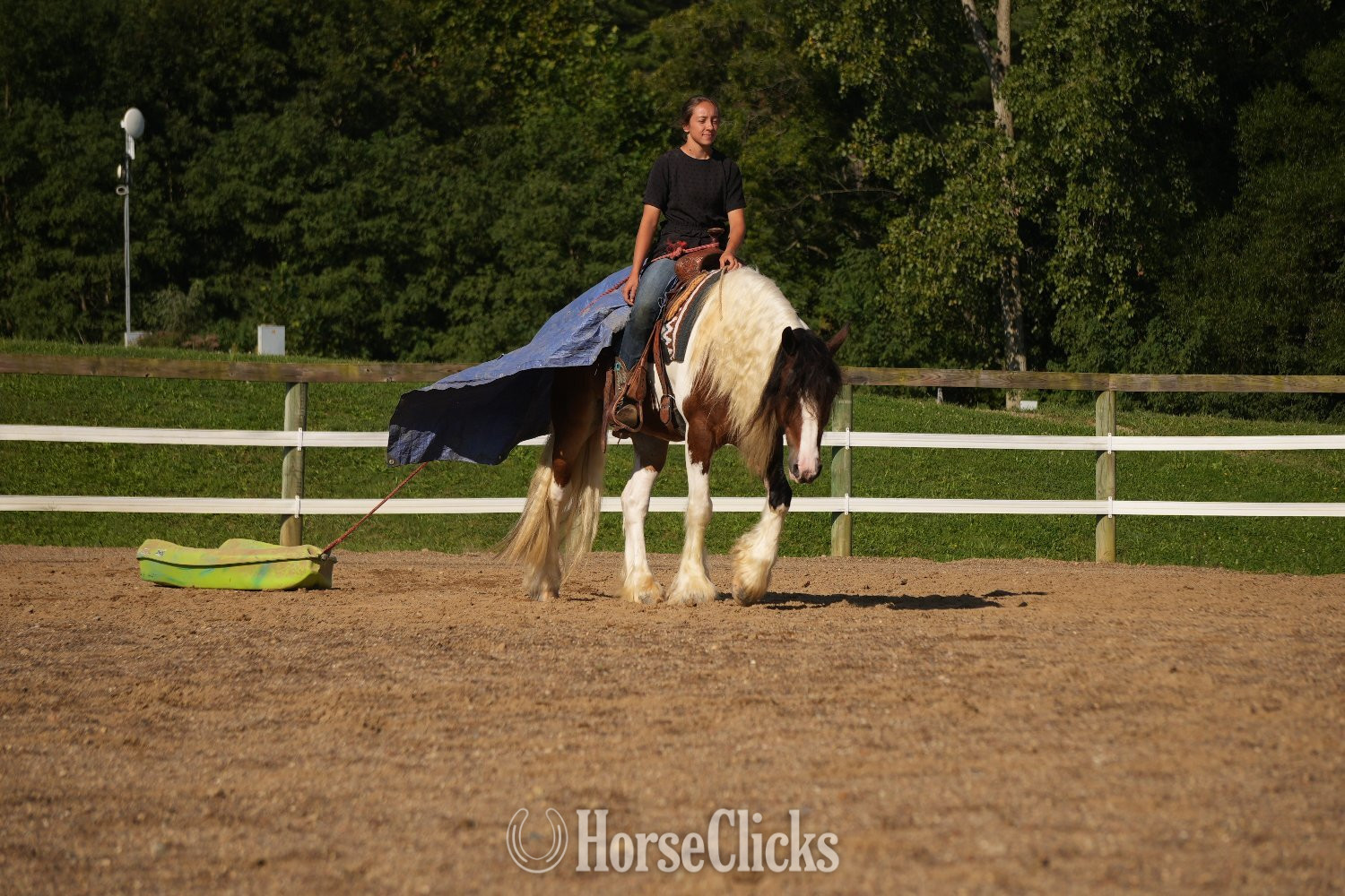 "Turbo" Pinto Gelding Gypsy Vanner - Gypsy Vanner