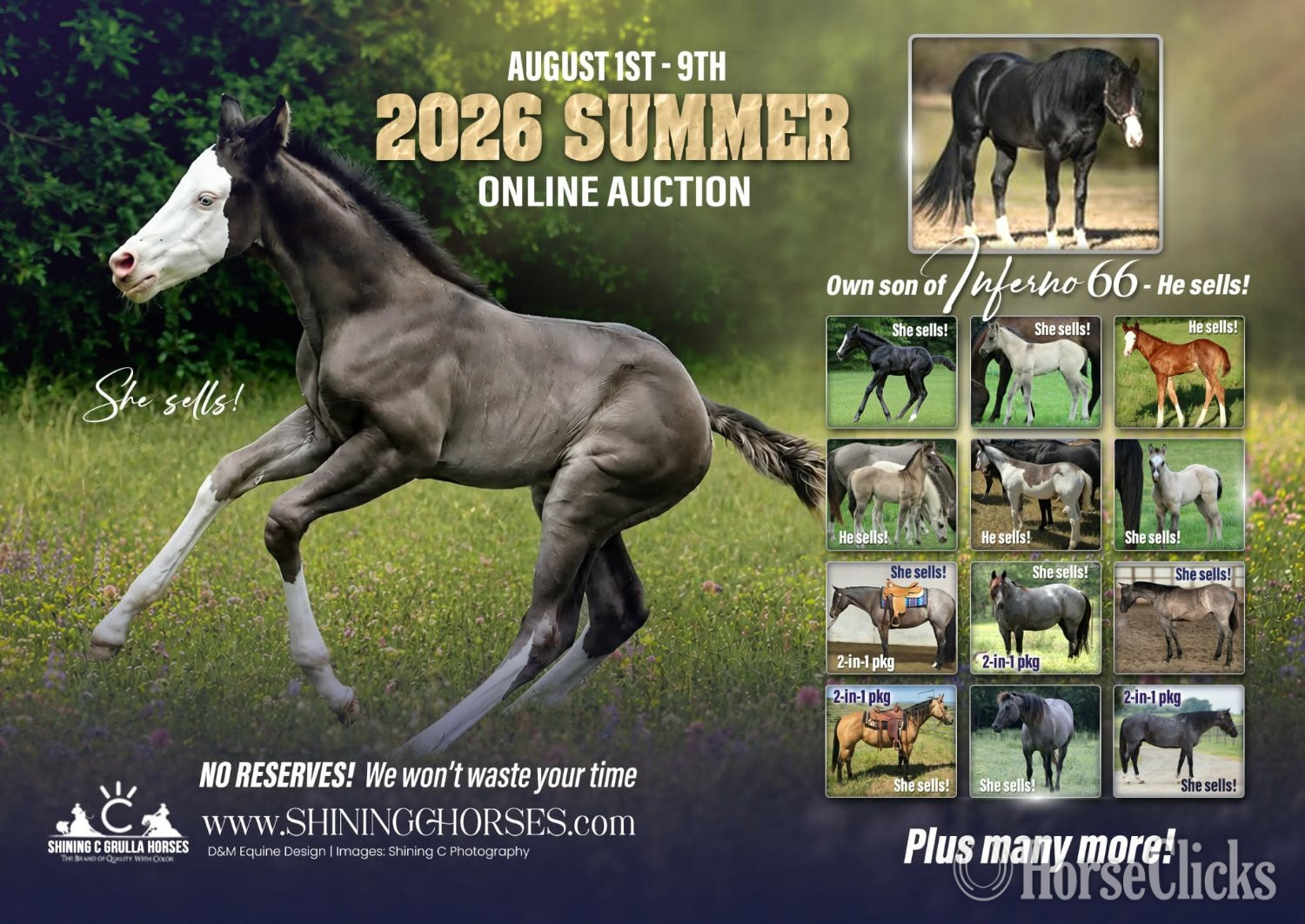 "JUSTA SPLASH BOMB X SHINING C CLEOPATRA" Black Filly Quarter Horse Texas