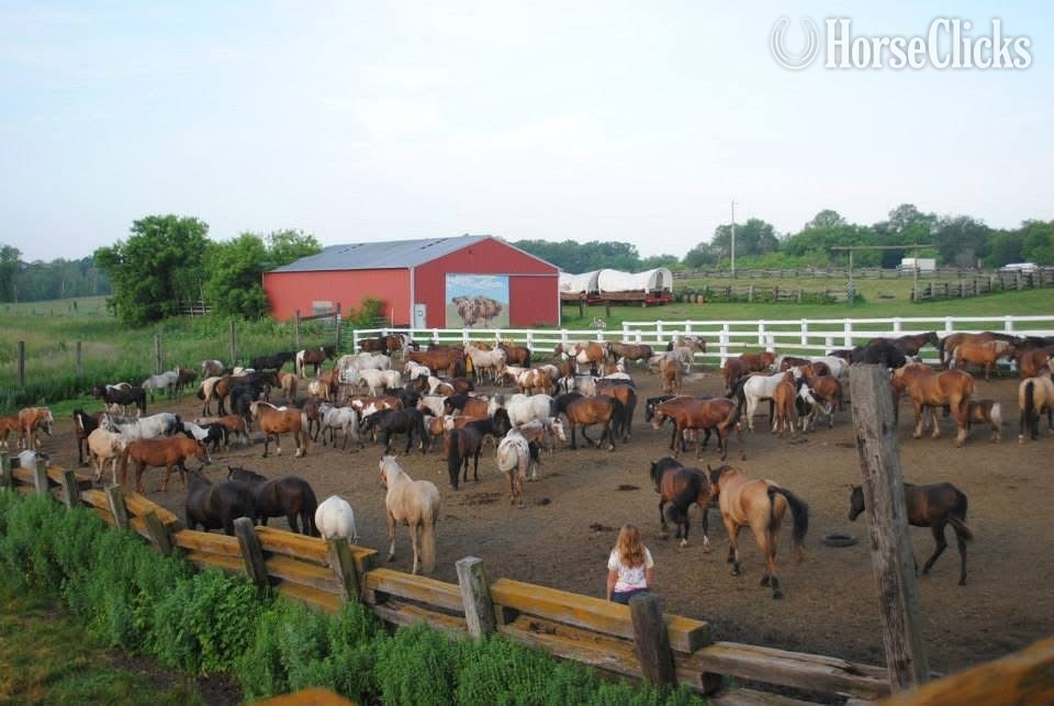 40-Acre Equestrian & Recreation Facility in Minnesota