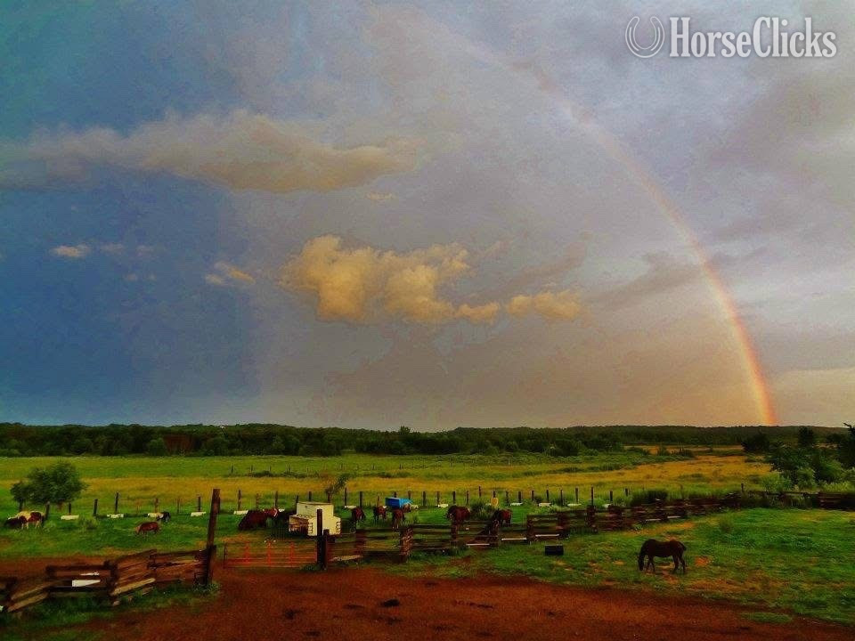 40-Acre Equestrian & Recreation Facility
