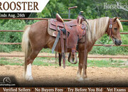"Rooster" Sorrel Gelding Pony
