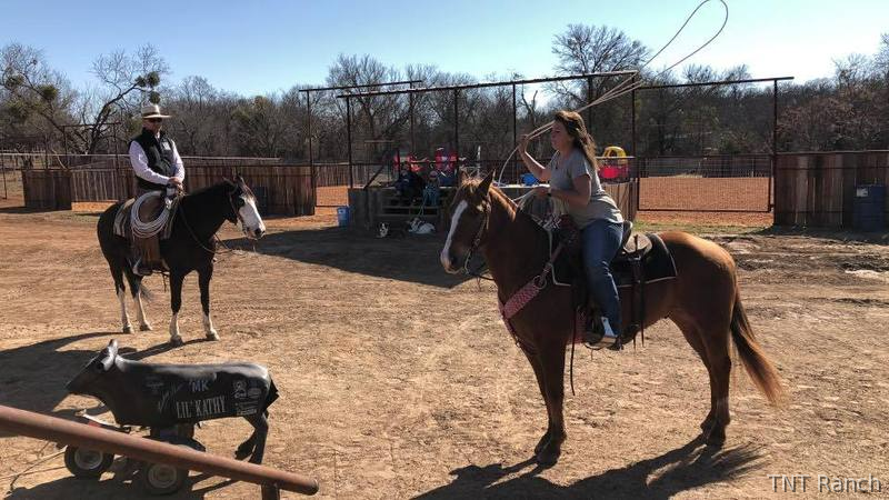 "Ike" Chestnut Gelding Quarter Horse - Quarter Horse in Texas