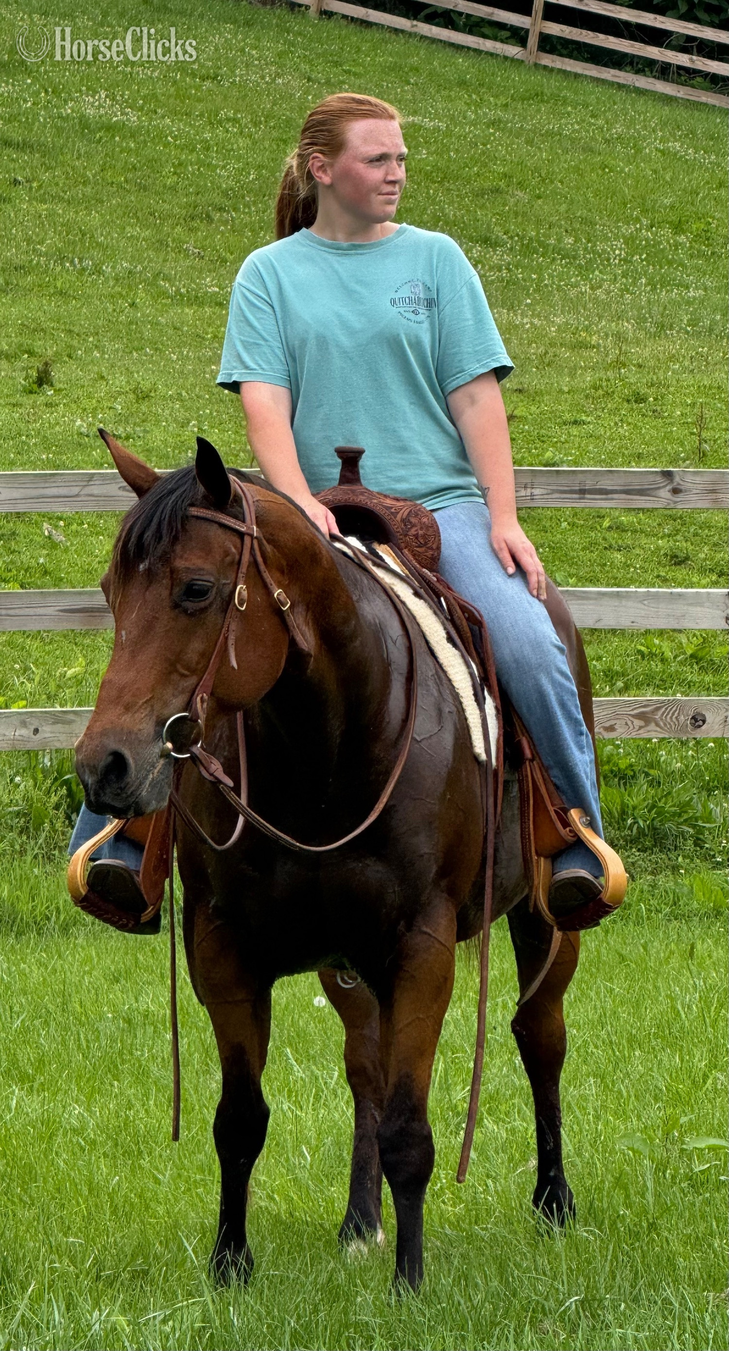 "Trudy " Bay Mare Quarter Horse