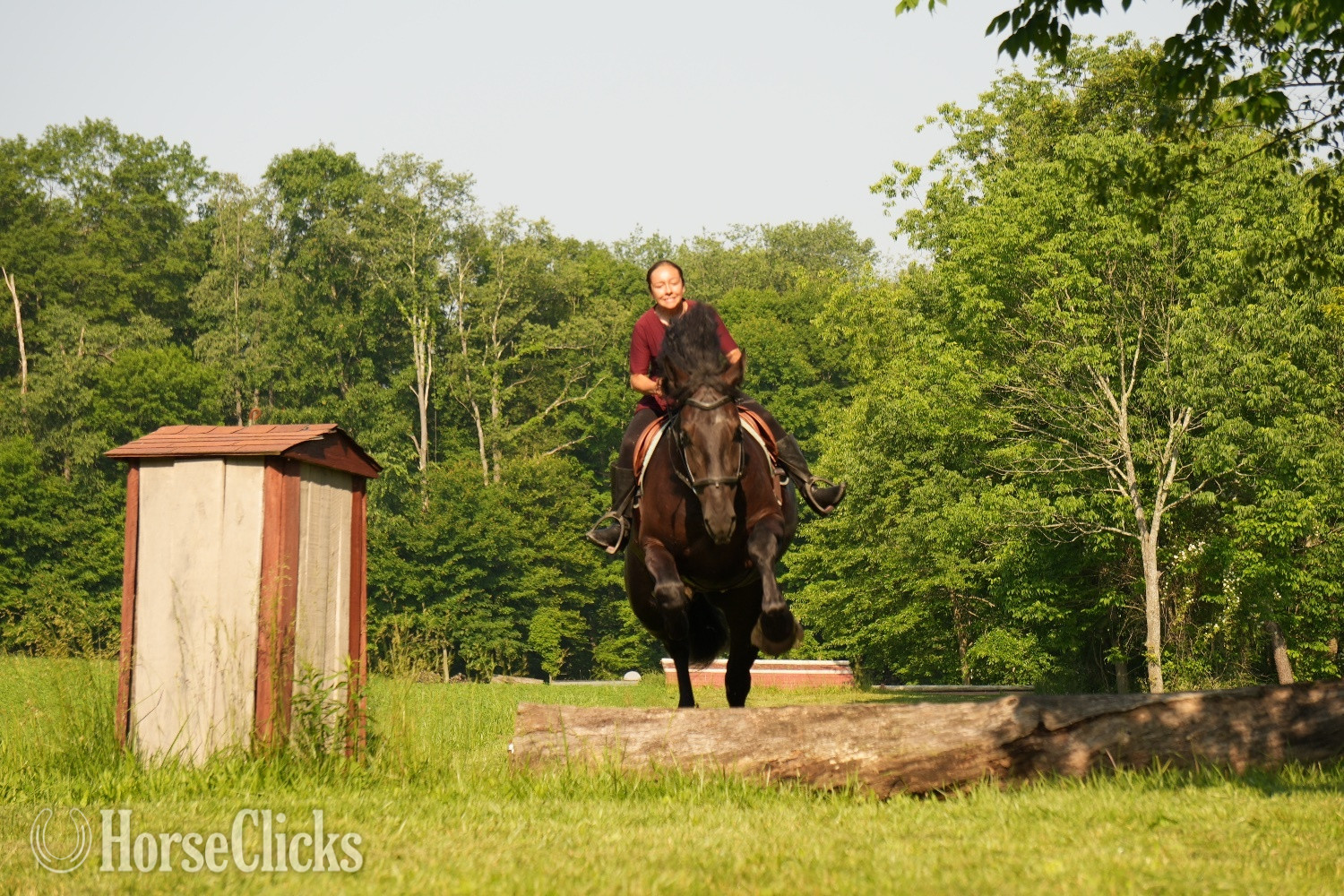 "Duke" Black Gelding Draft - Draft