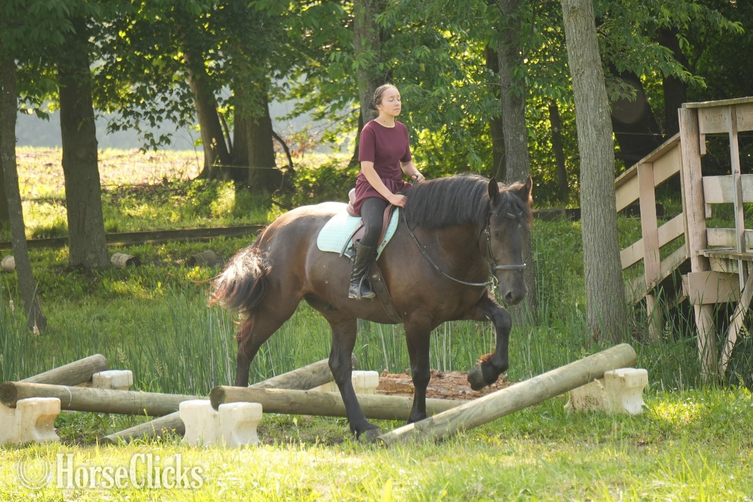 "Duke" Black Gelding Draft Ohio