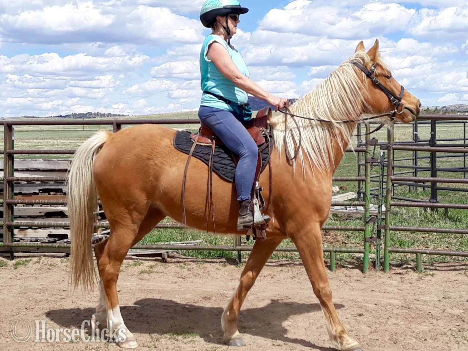 Colorado "Solar Flair" Palomino Mare Tennessee Walker