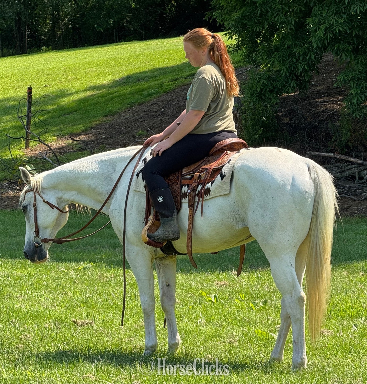 "GHOST " Grey Gelding Paint