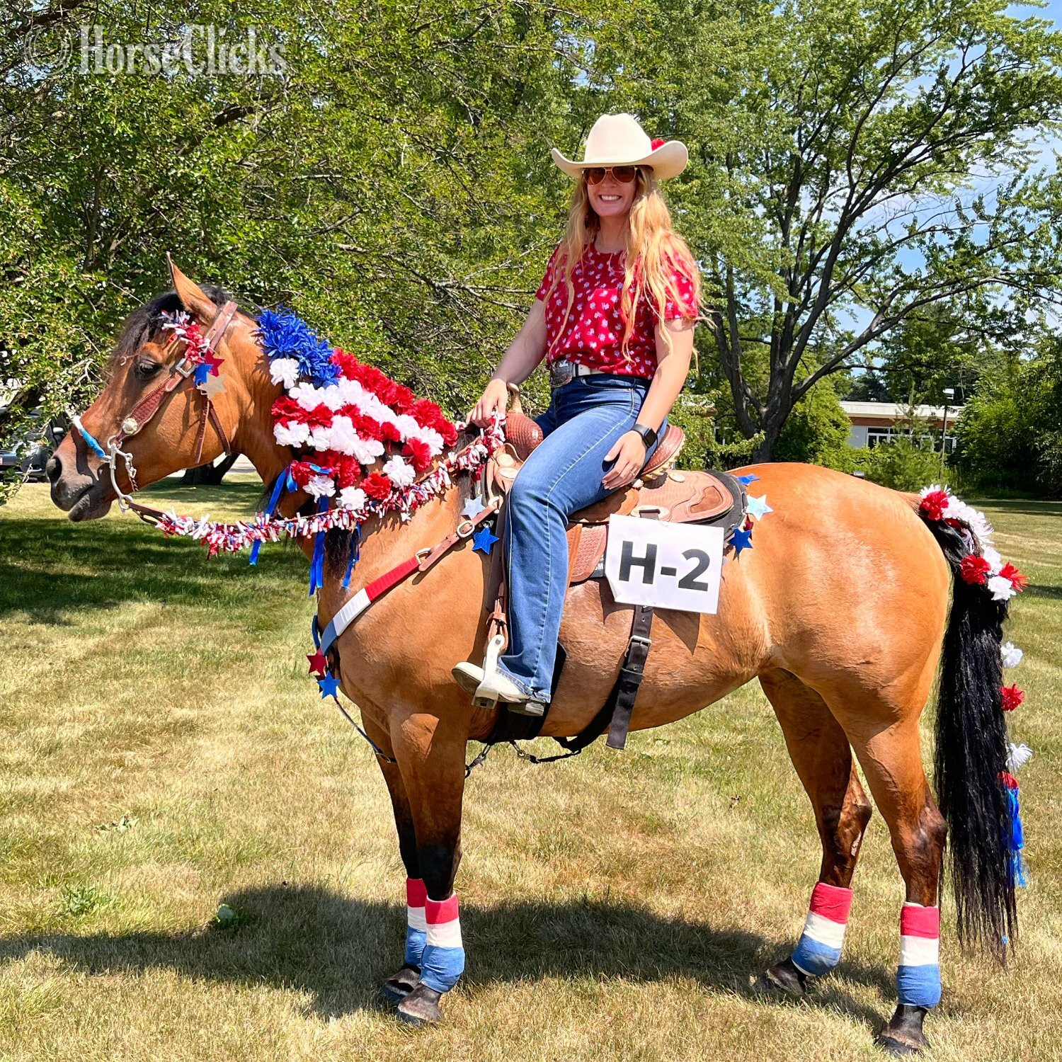 "Bibi Juna" Dun Mare Paint in Wisconsin