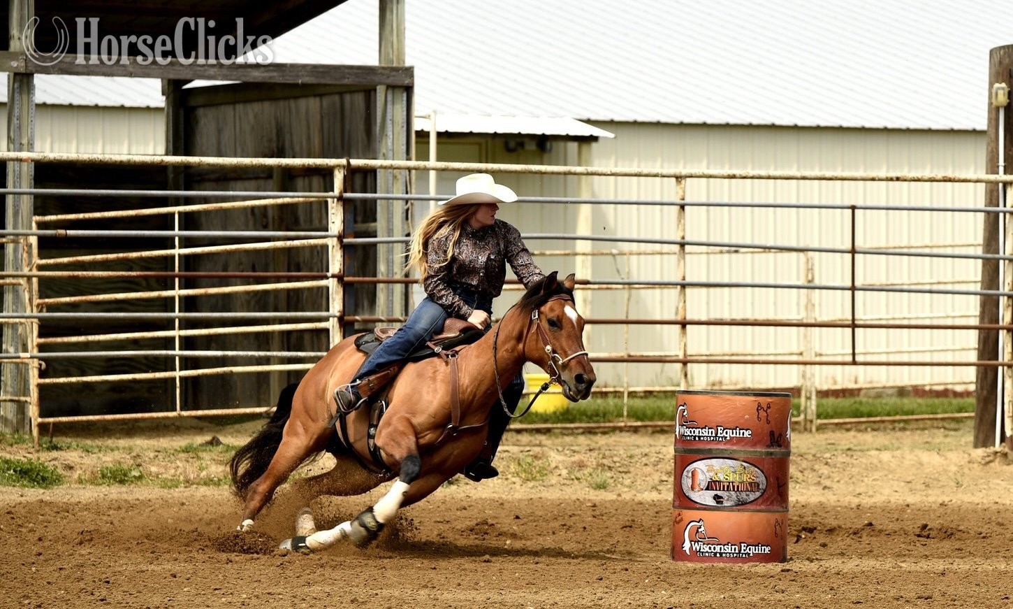Wisconsin "Bibi Juna" Dun Mare Paint