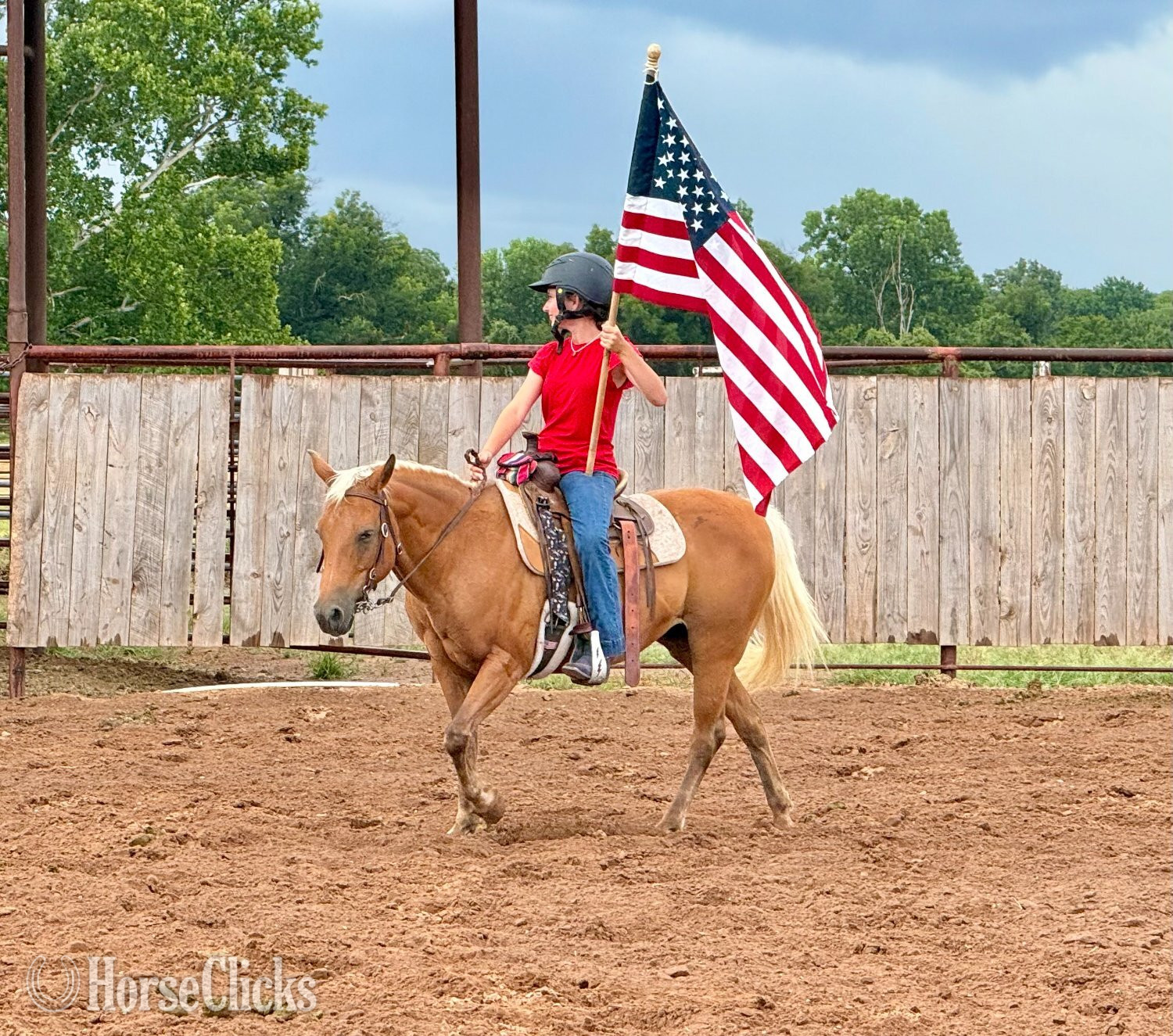 "Dumpling " Palomino Mare Quarter Pony Texas